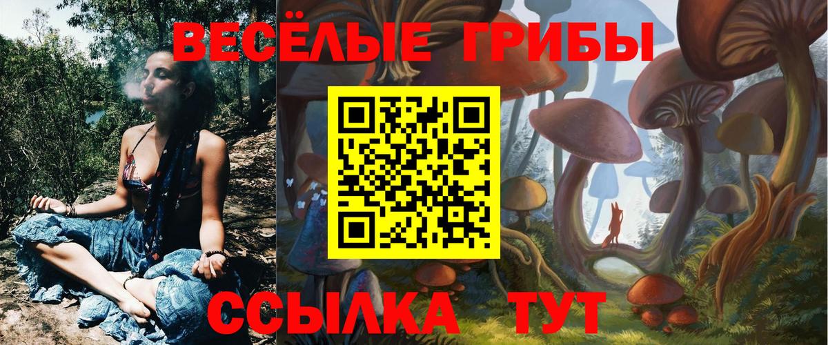 Псилоцибиновые грибы ЛСД  даркнет сайт  Нягань  Вход с VPN  Галлюциногенные грибы Cubensis 